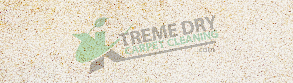 Myrtle Beach Carpet Dry Cleaning