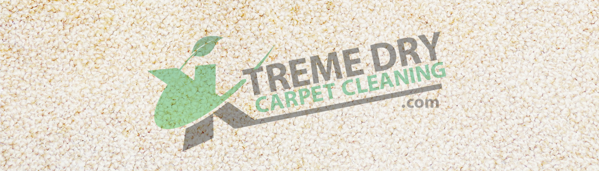 Xtreme Dry Upholstery Cleaning Services Myrtle Beach