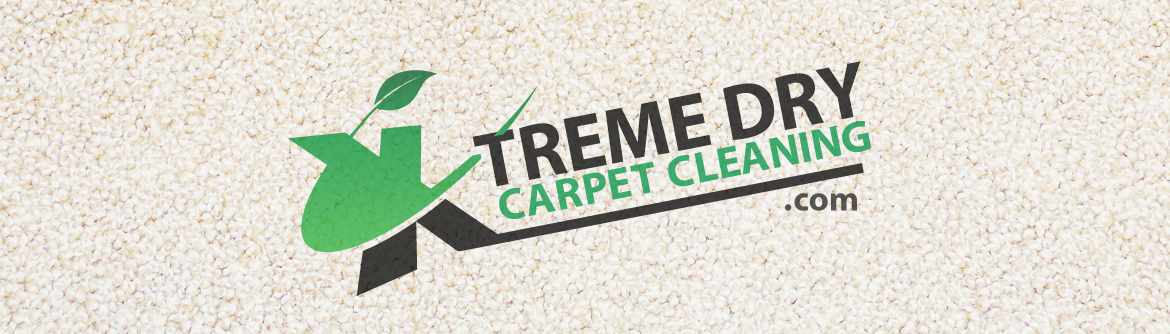 Xtreme Dry Professional Upholstery Cleaning