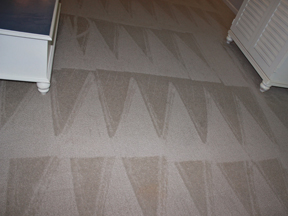 Professional Carpet Cleaning Myrtle Beach