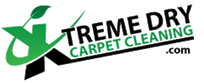 xtreme dry logo new